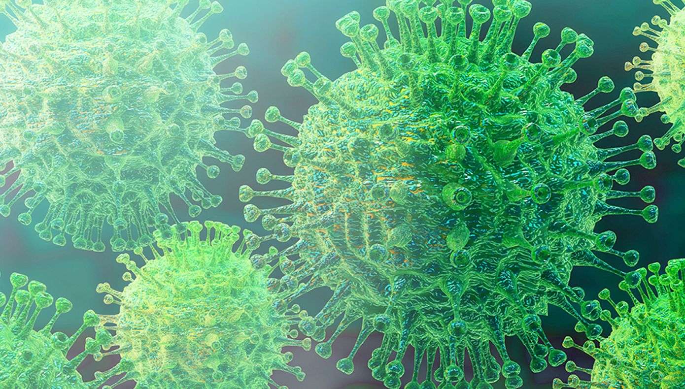 Home Page MSD Salud Animal Brazil