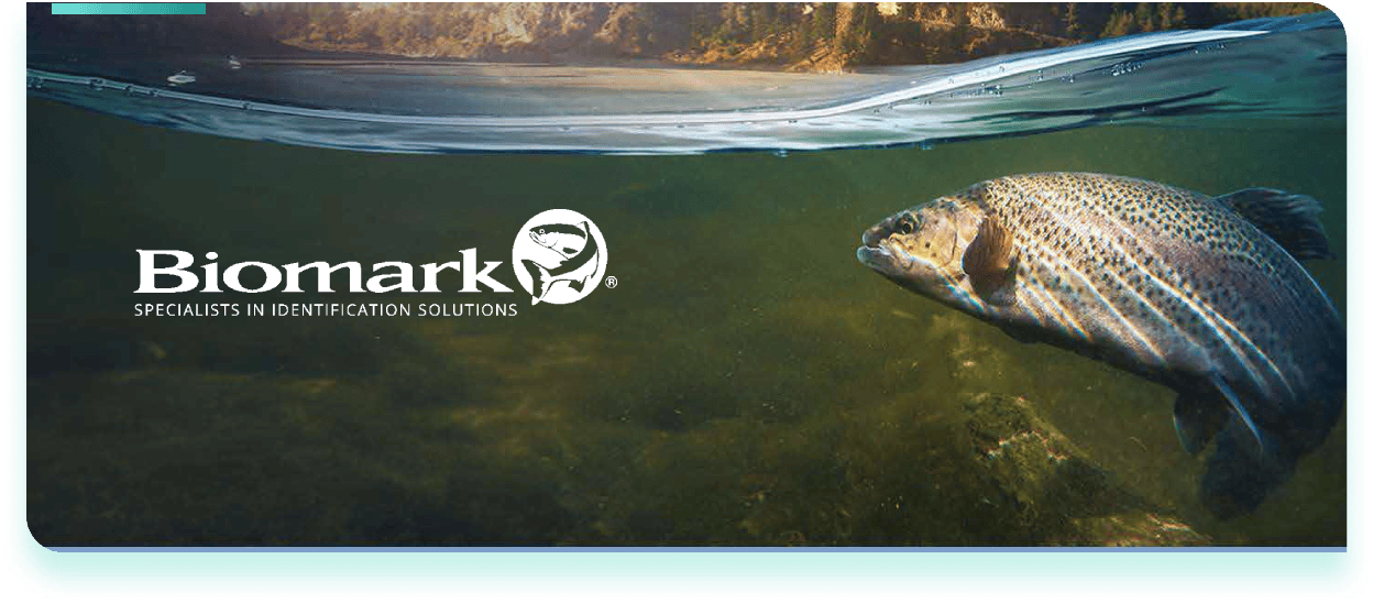 Biomark - MSD Saúde Animal Brasil