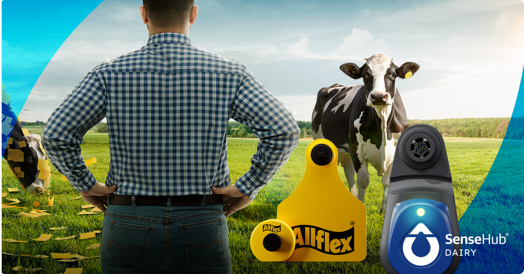 Allflex® e SenseHub® Dairy